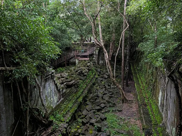 Antiguas ruinas de templo de piedra cubiertas de musgo y rodeadas de densa selva